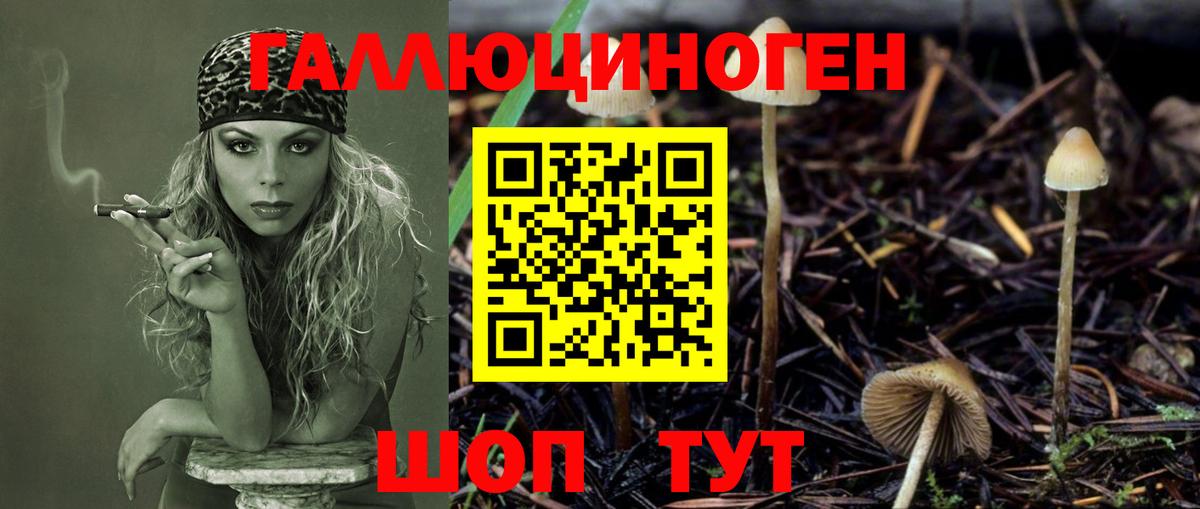 Псилоцибиновые грибы Magic Shrooms  Псилоцибиновые грибы GOLDEN TEACHER  Вход с VPN  Миасс 